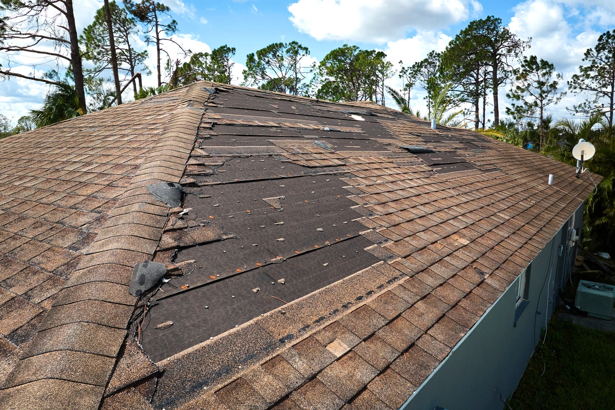 repair or replace-close up of roof with many missing shingles